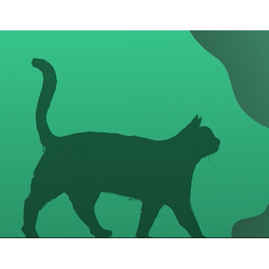 Bio-Speedy® Feline Blood Infections Panel-1