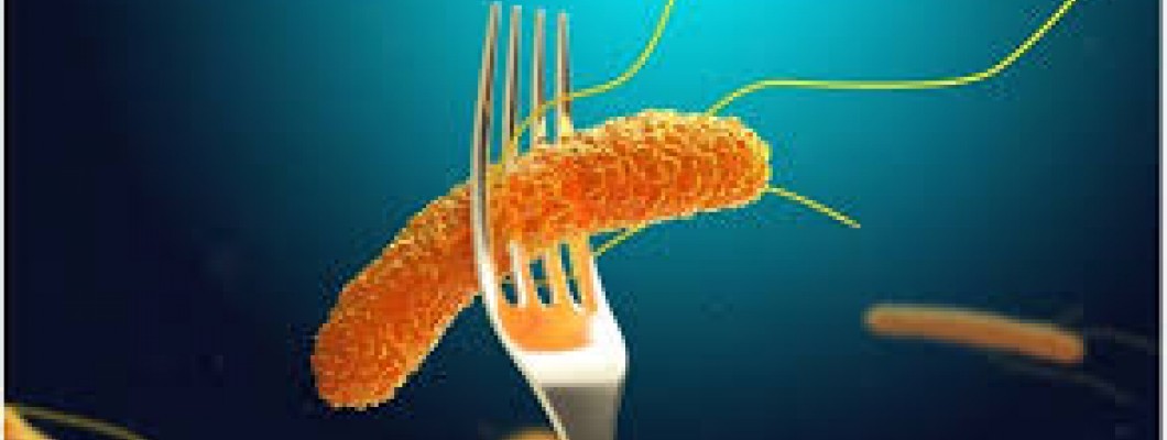 Salmonella: μια επαναστατική λύση για την ασφάλεια των τροφίμων