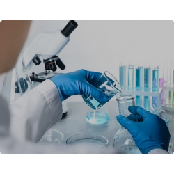 Bio-Speedy® Hazelnut DNA qPCR Kit Bio-Speedy® Hazelnut DNA qPCR Kit